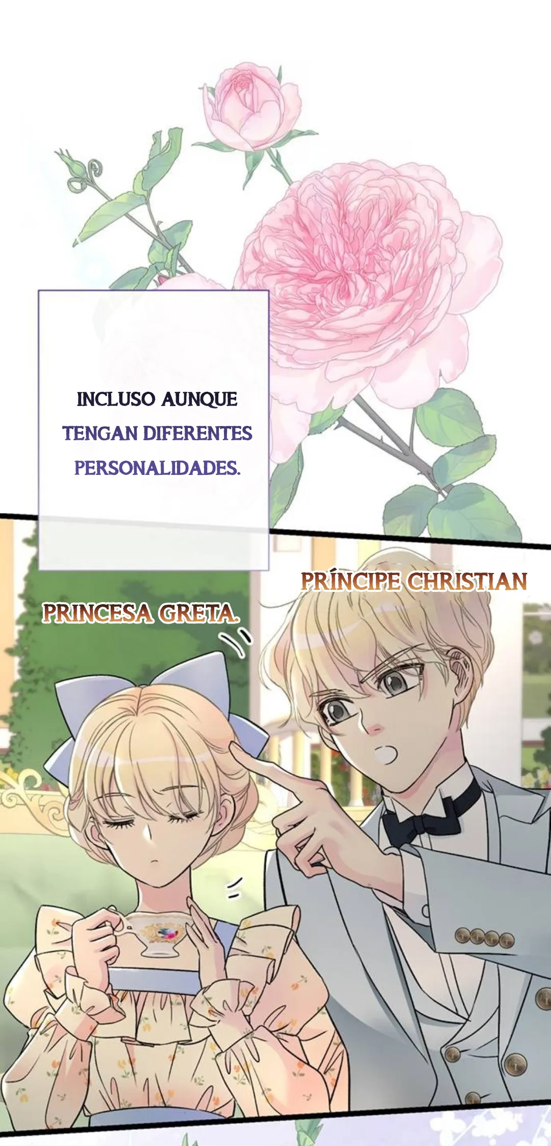 24 Príncipe problemático