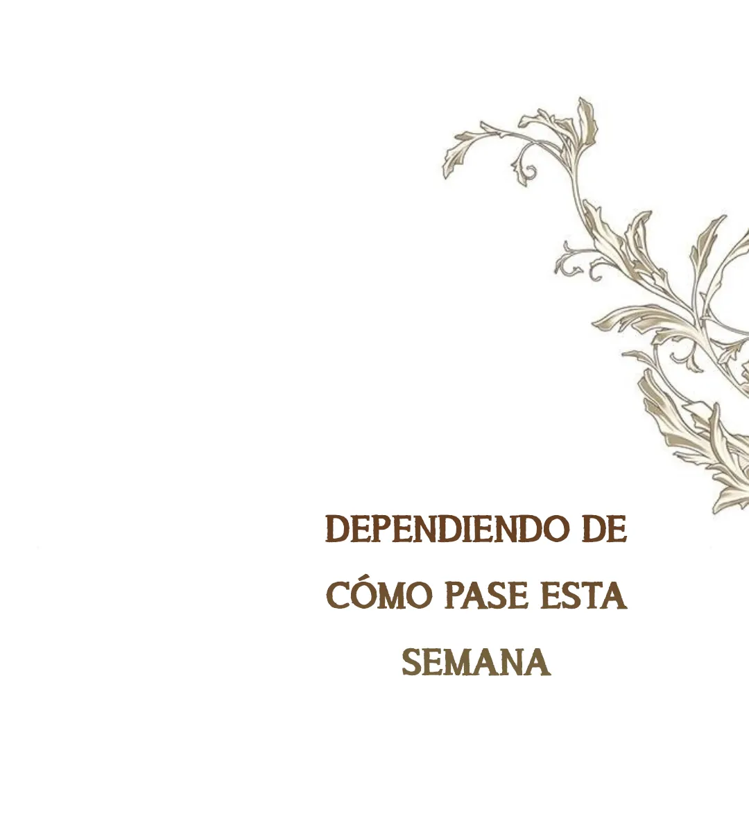 14 Príncipe problemático