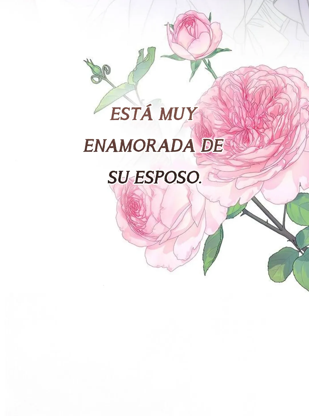 49 Príncipe problemático