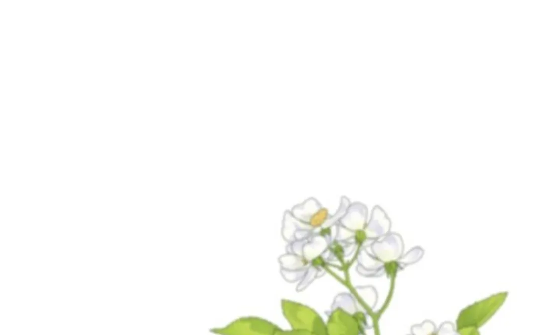 82 Príncipe problemático