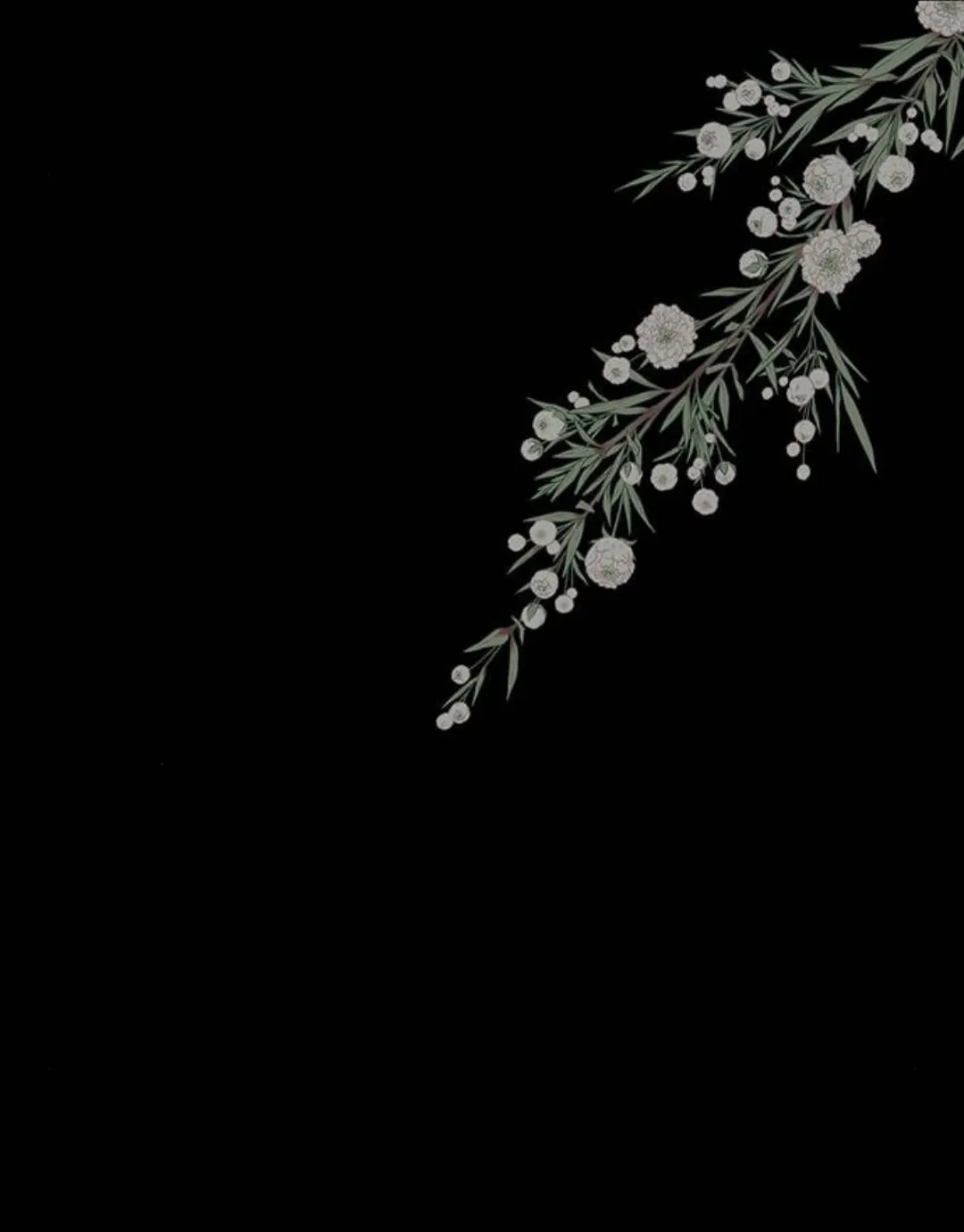 53 Príncipe problemático