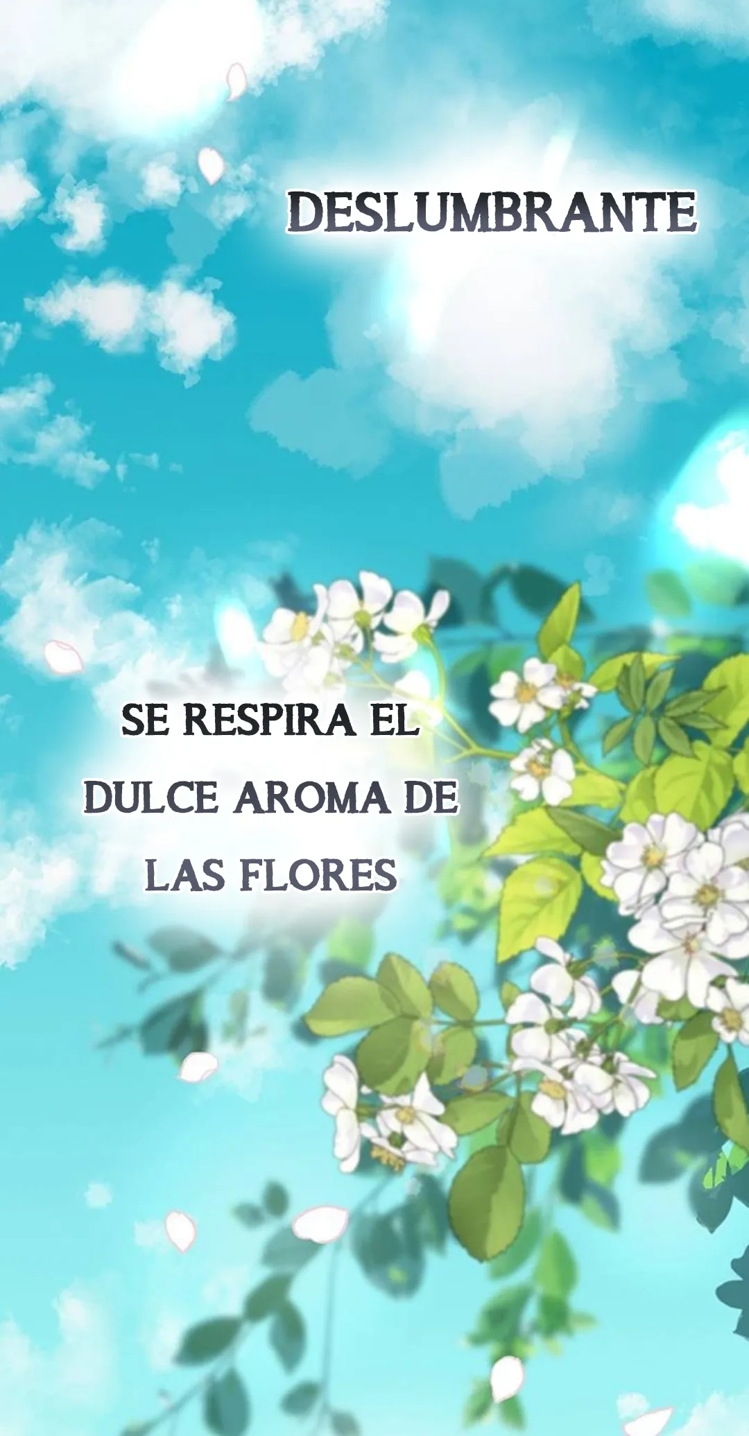 11 Príncipe problemático