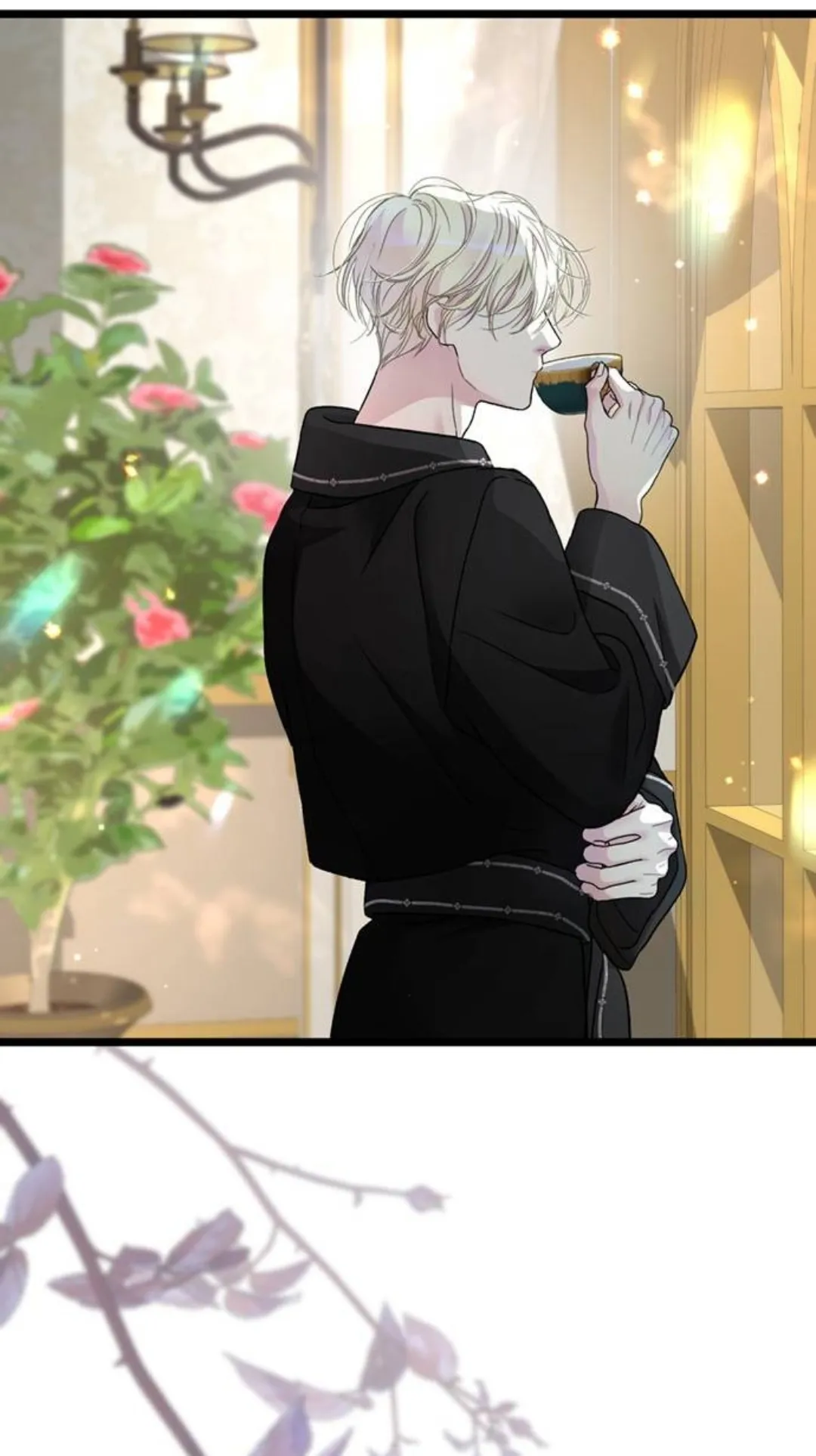 80 Príncipe problemático