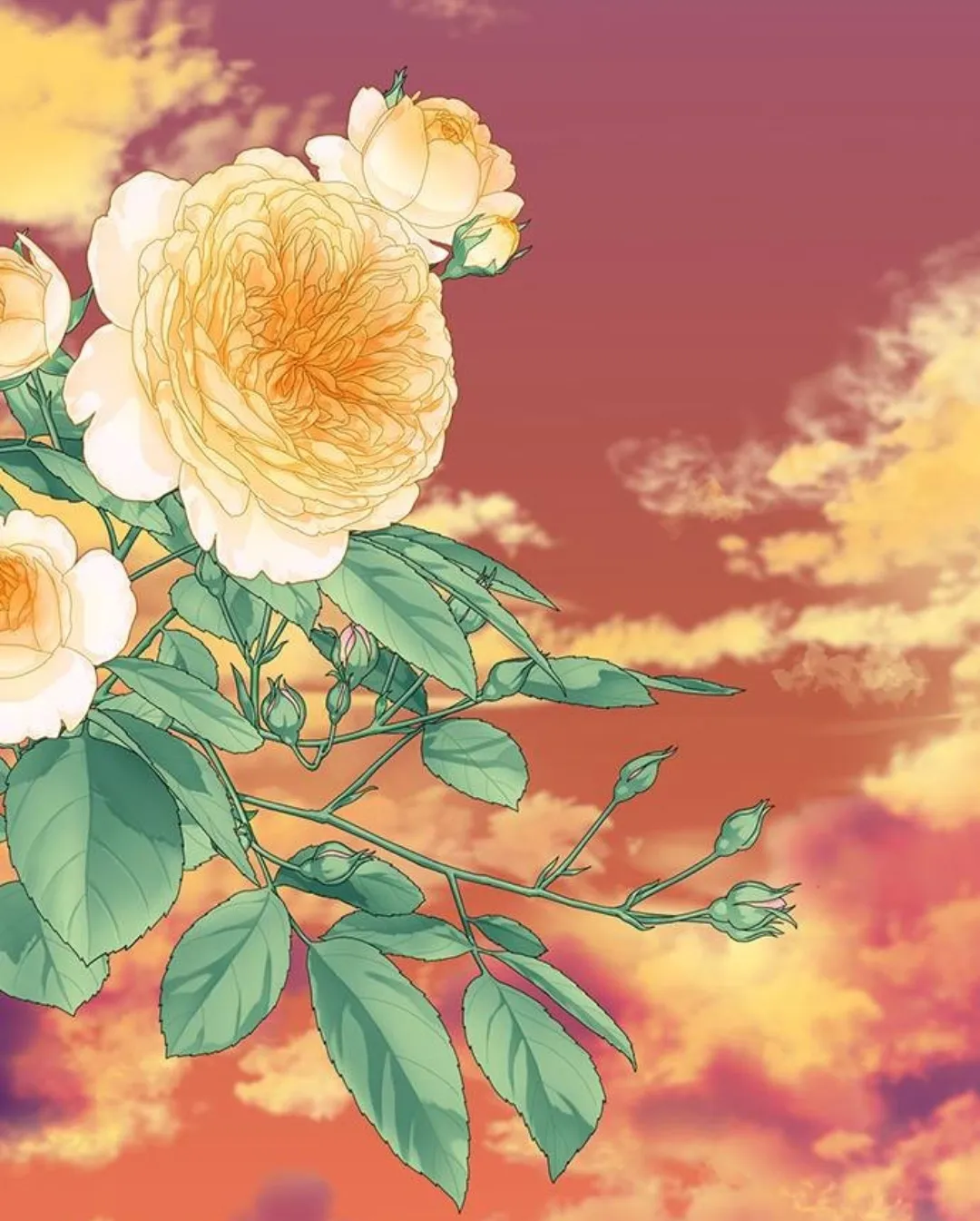 24 Príncipe problemático