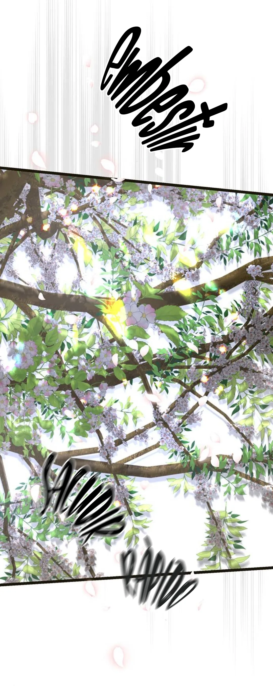 66 Príncipe problemático