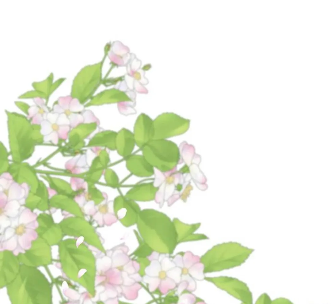 53 Príncipe problemático