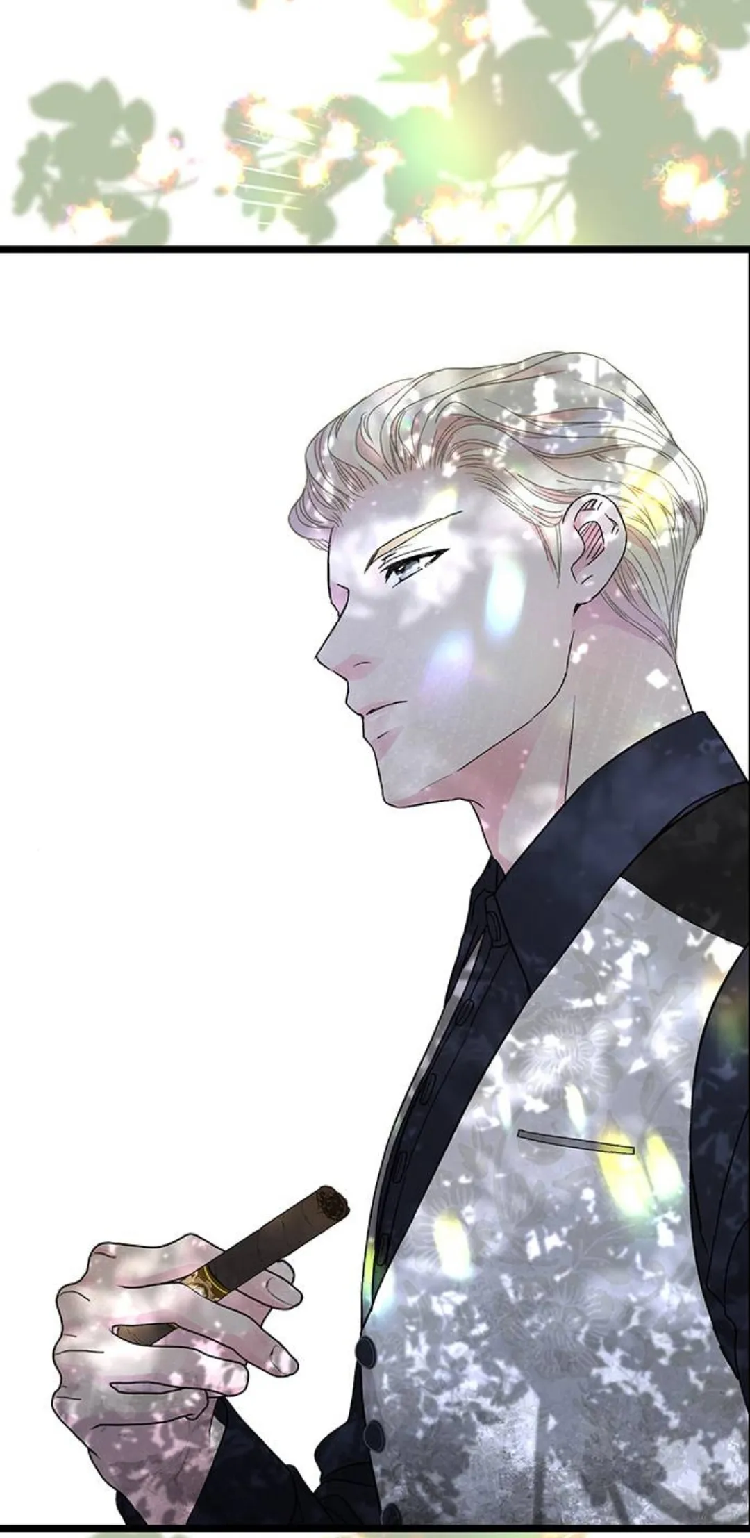 33 Príncipe problemático