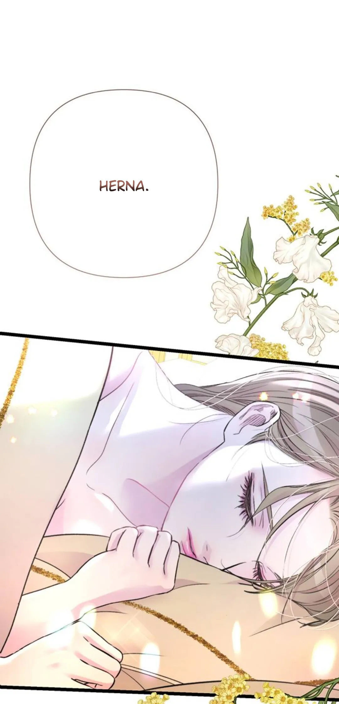 26 Príncipe problemático