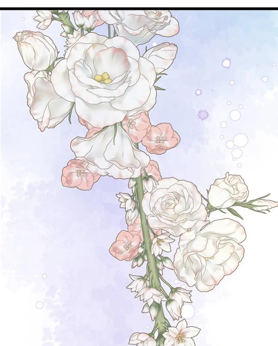 80 Príncipe problemático