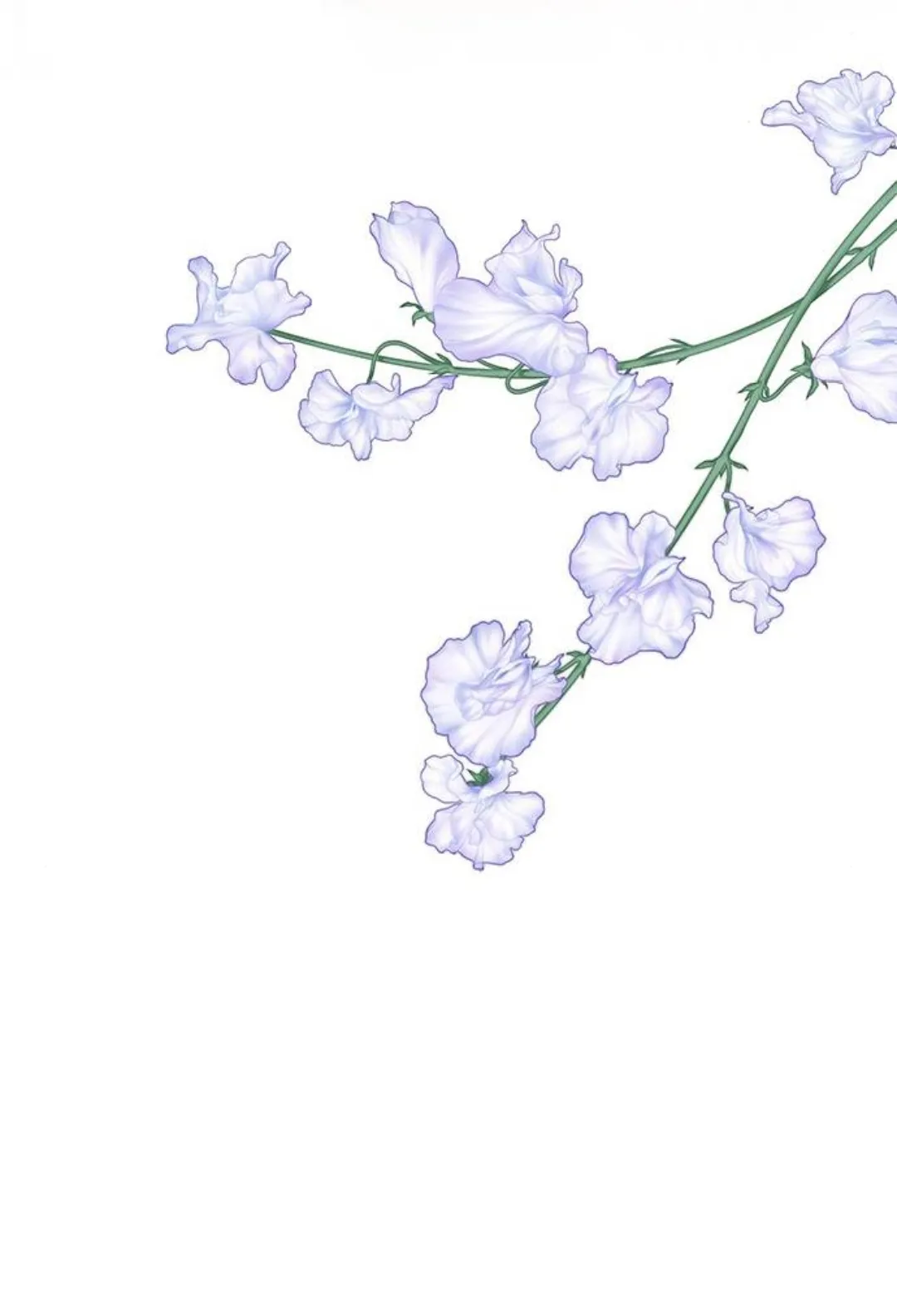 75 Príncipe problemático