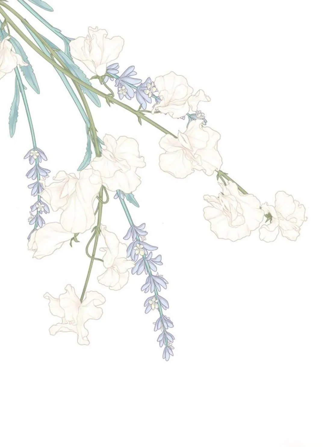 72 Príncipe problemático