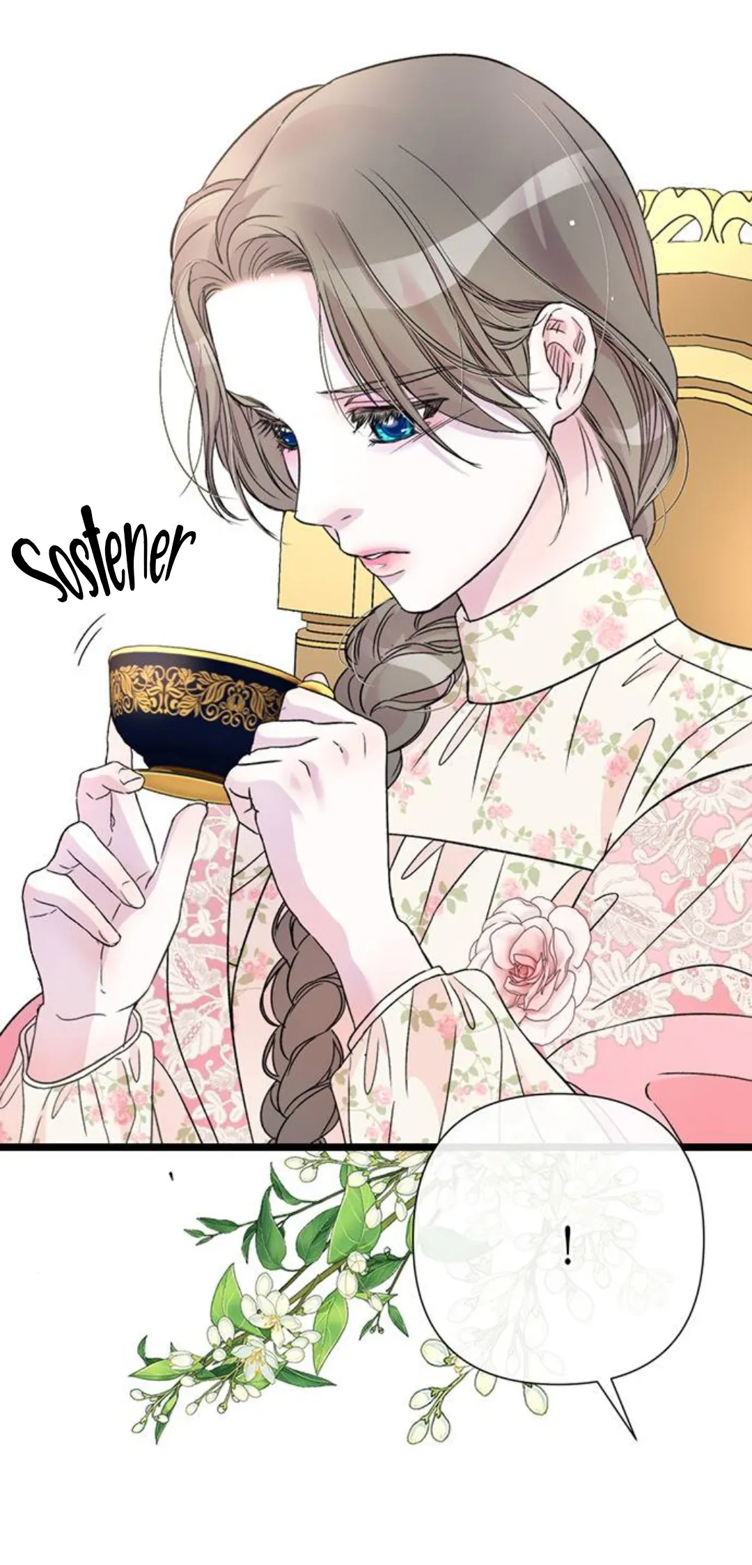 12 Príncipe problemático