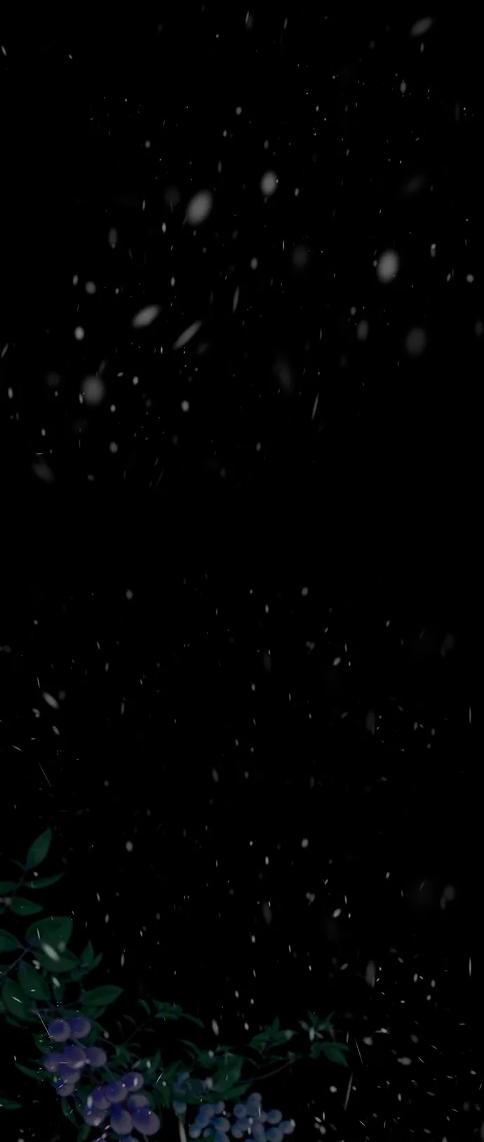 61 Príncipe problemático