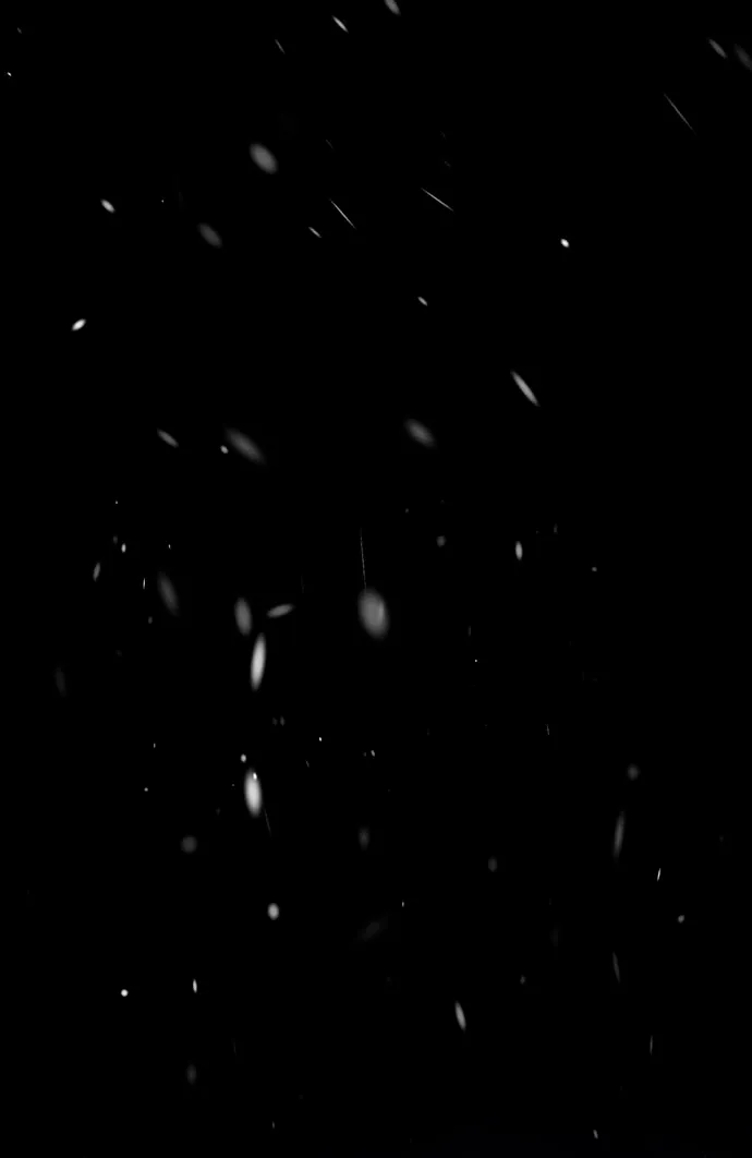 7 Príncipe problemático