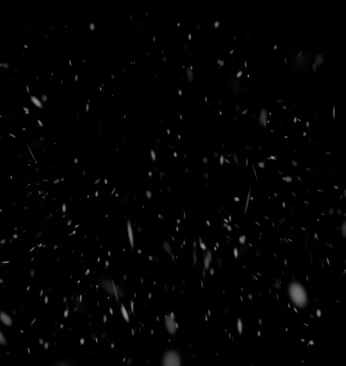 113 Príncipe problemático