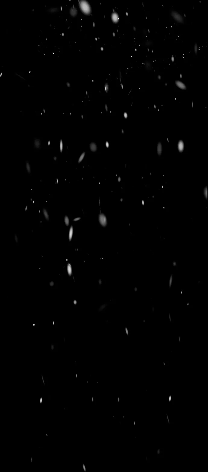 123 Príncipe problemático