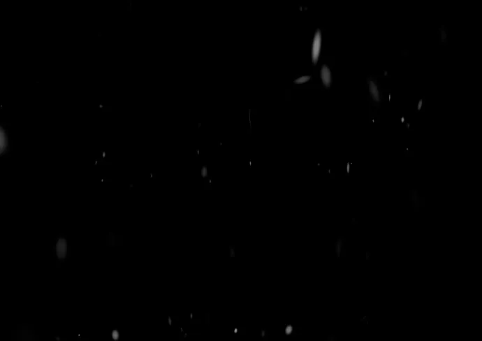 73 Príncipe problemático