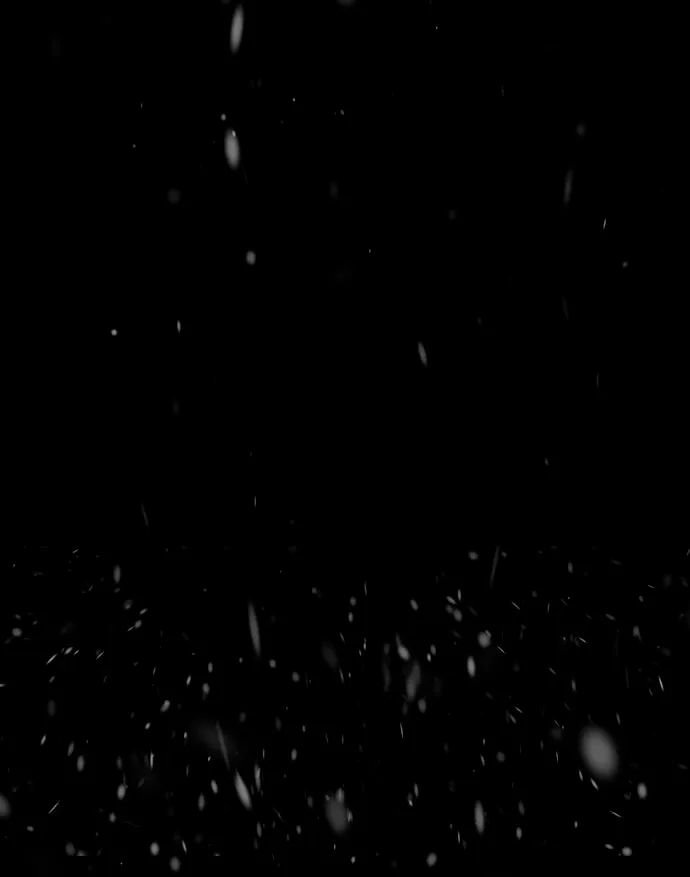 14 Príncipe problemático