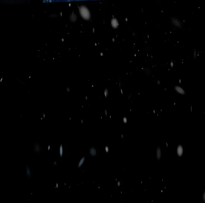 63 Príncipe problemático