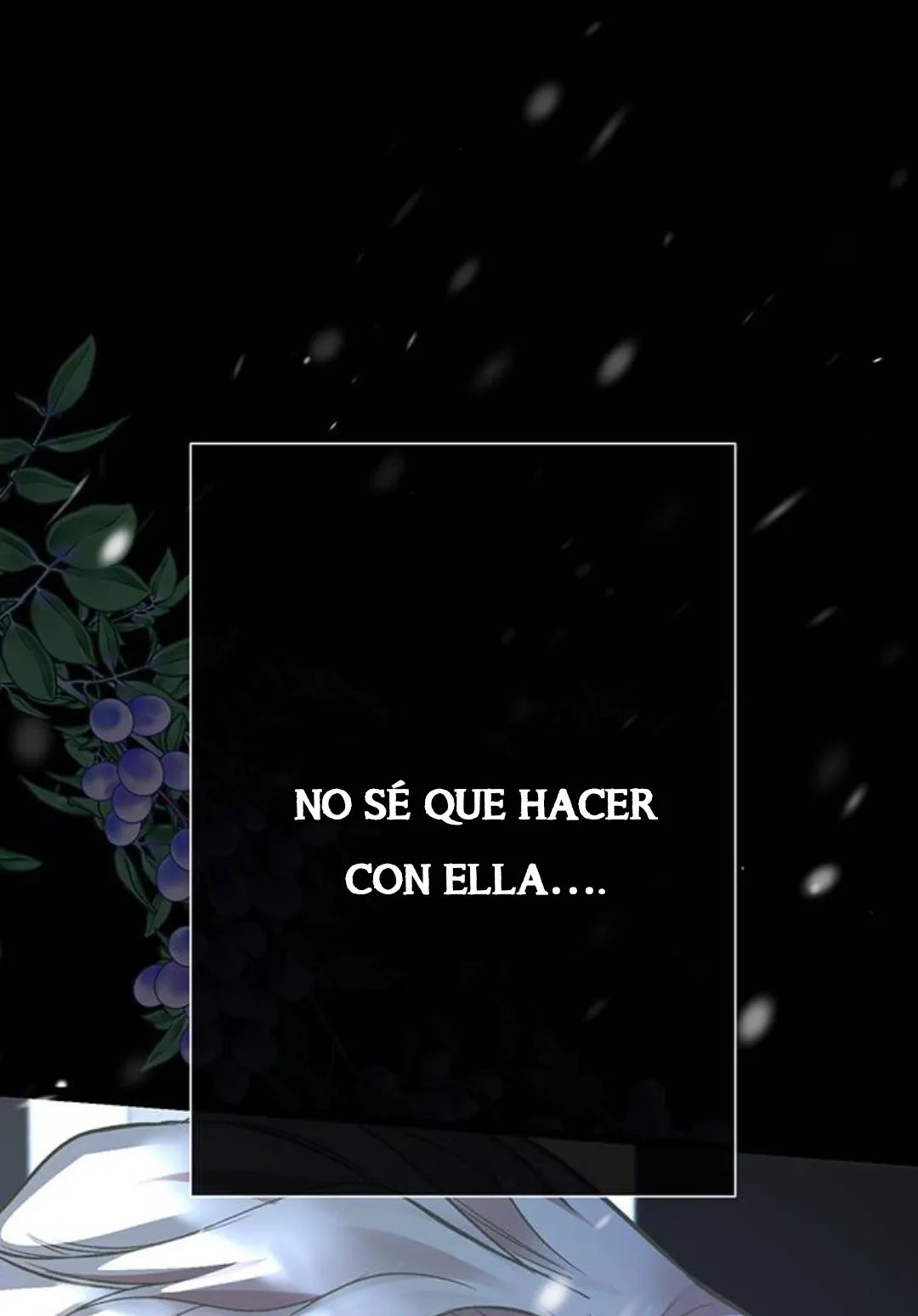 119 Príncipe problemático