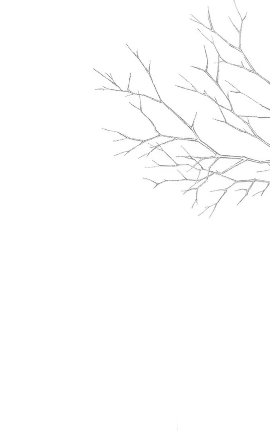 24 Príncipe problemático