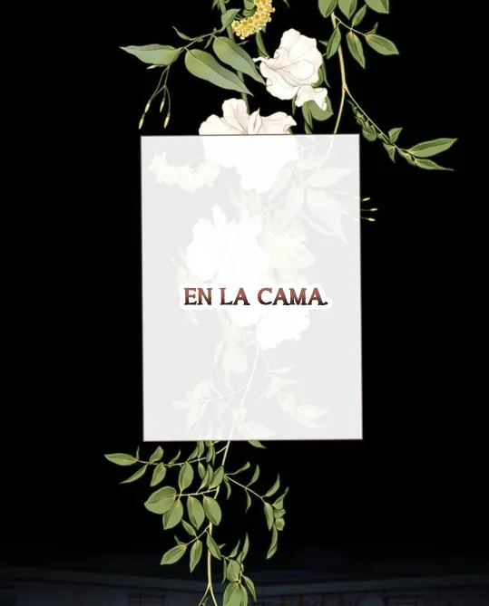 37 Príncipe problemático