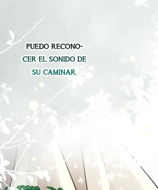 66 Príncipe problemático