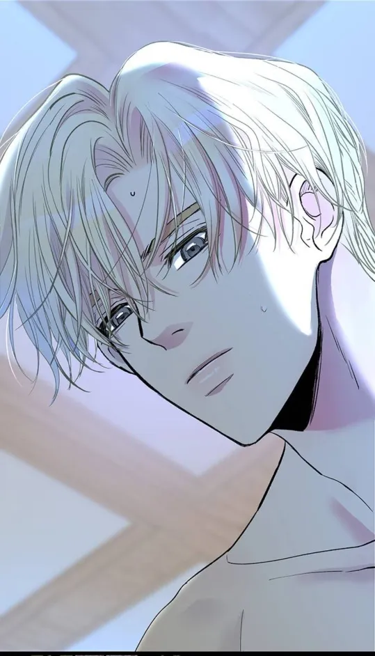 40 Príncipe problemático