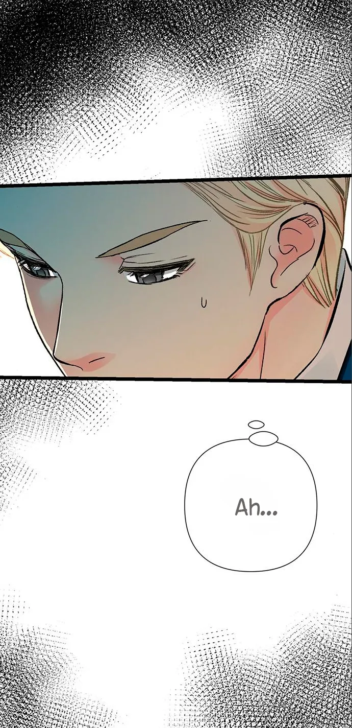 13 Príncipe problemático