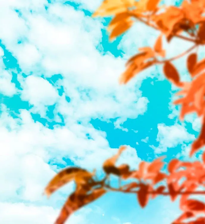 46 Príncipe problemático