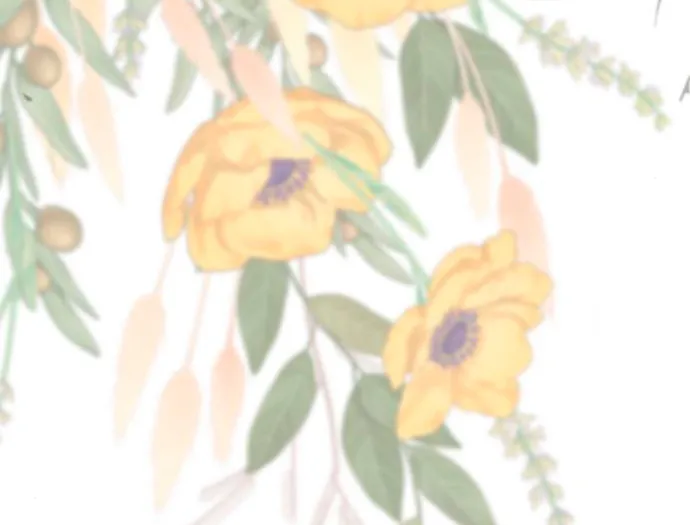 50 Príncipe problemático