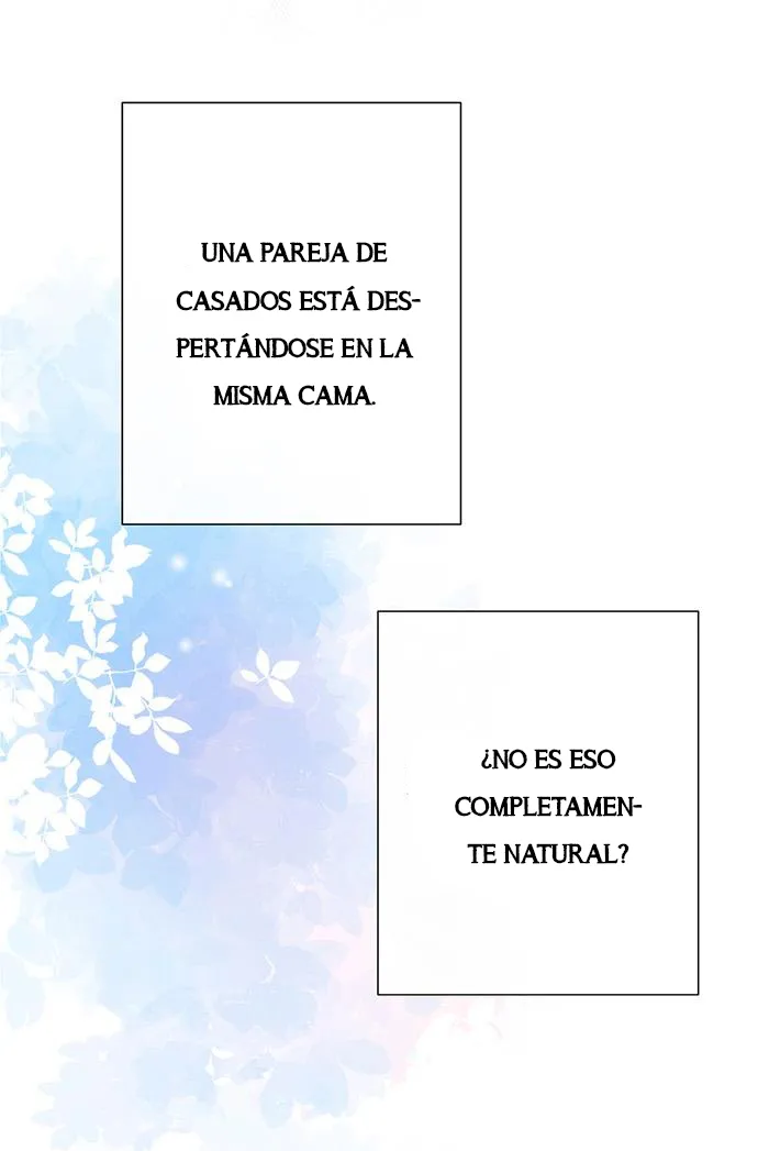 41 Príncipe problemático