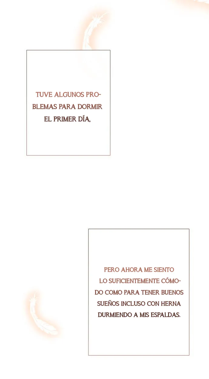 19 Príncipe problemático