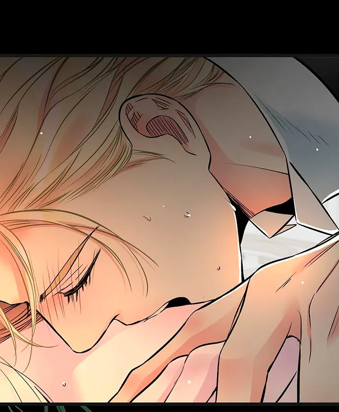 4 Príncipe problemático