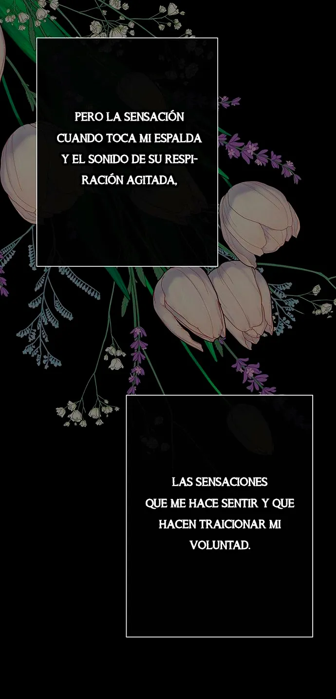 3 Príncipe problemático