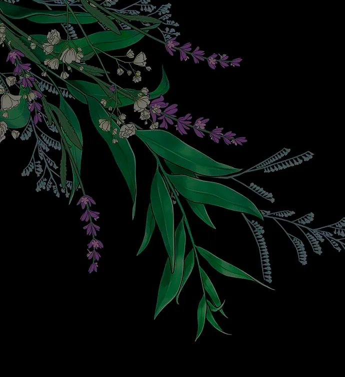 52 Príncipe problemático