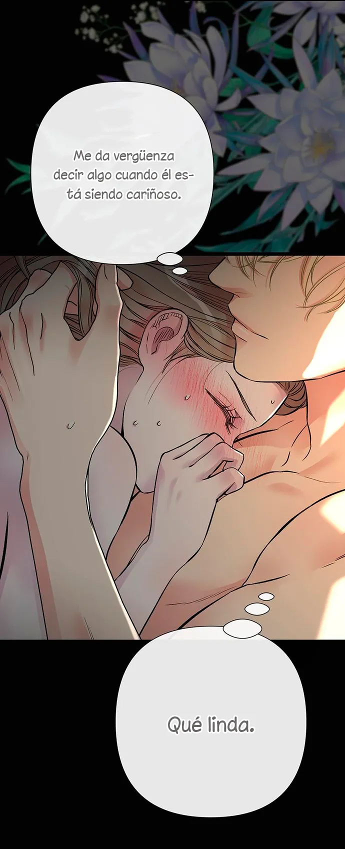 62 Príncipe problemático