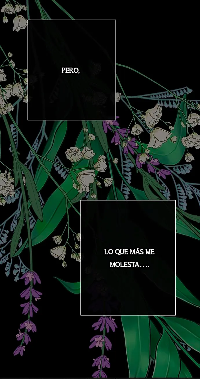 5 Príncipe problemático