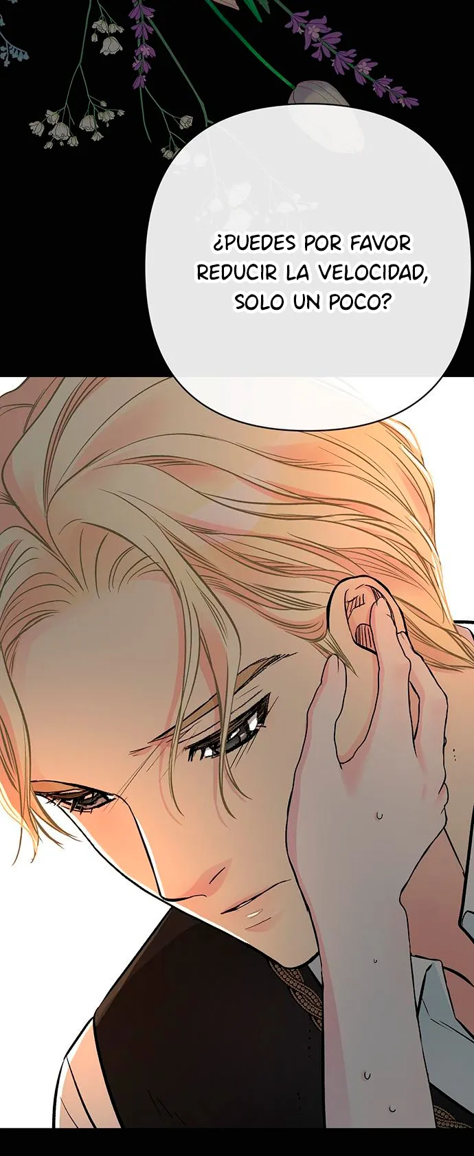 43 Príncipe problemático