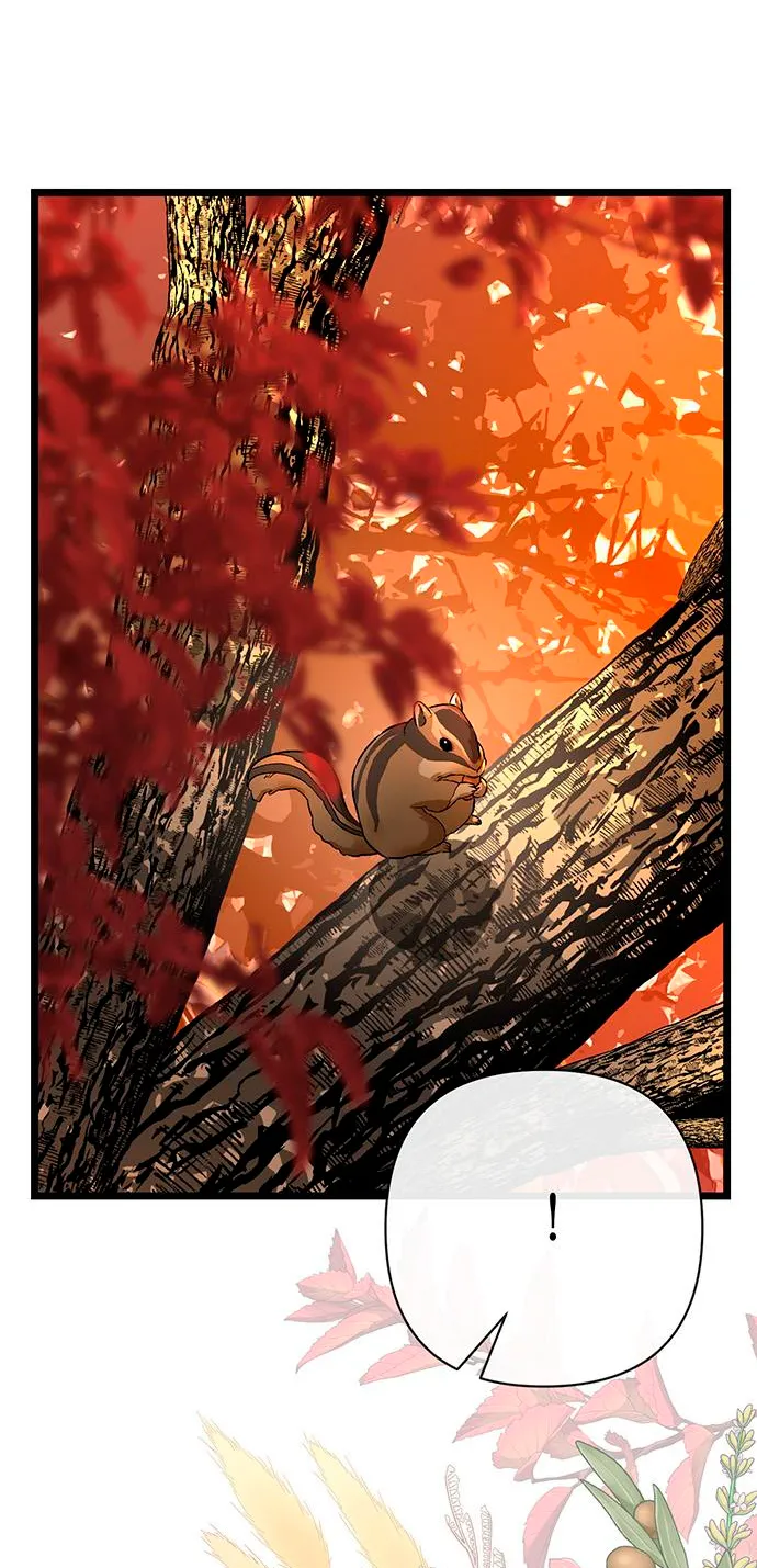 19 Príncipe problemático