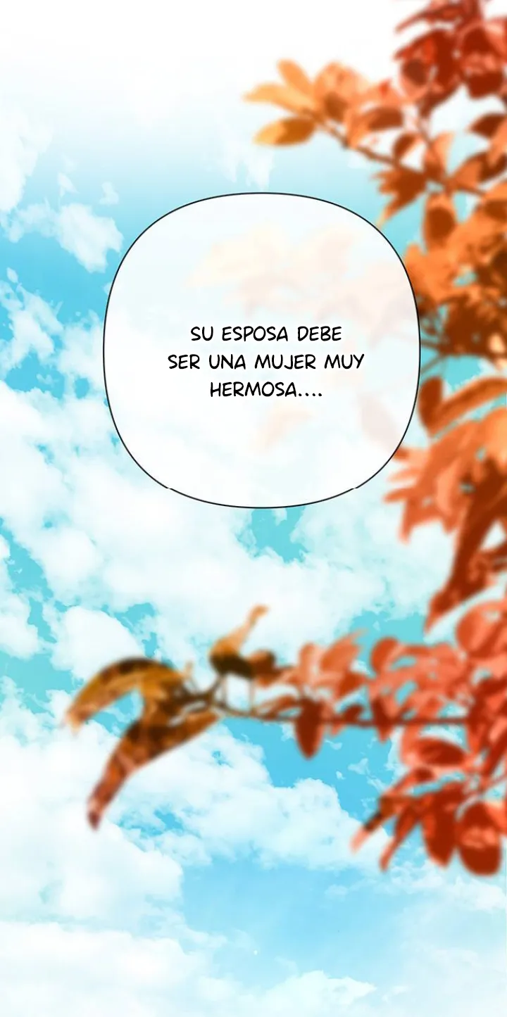 70 Príncipe problemático