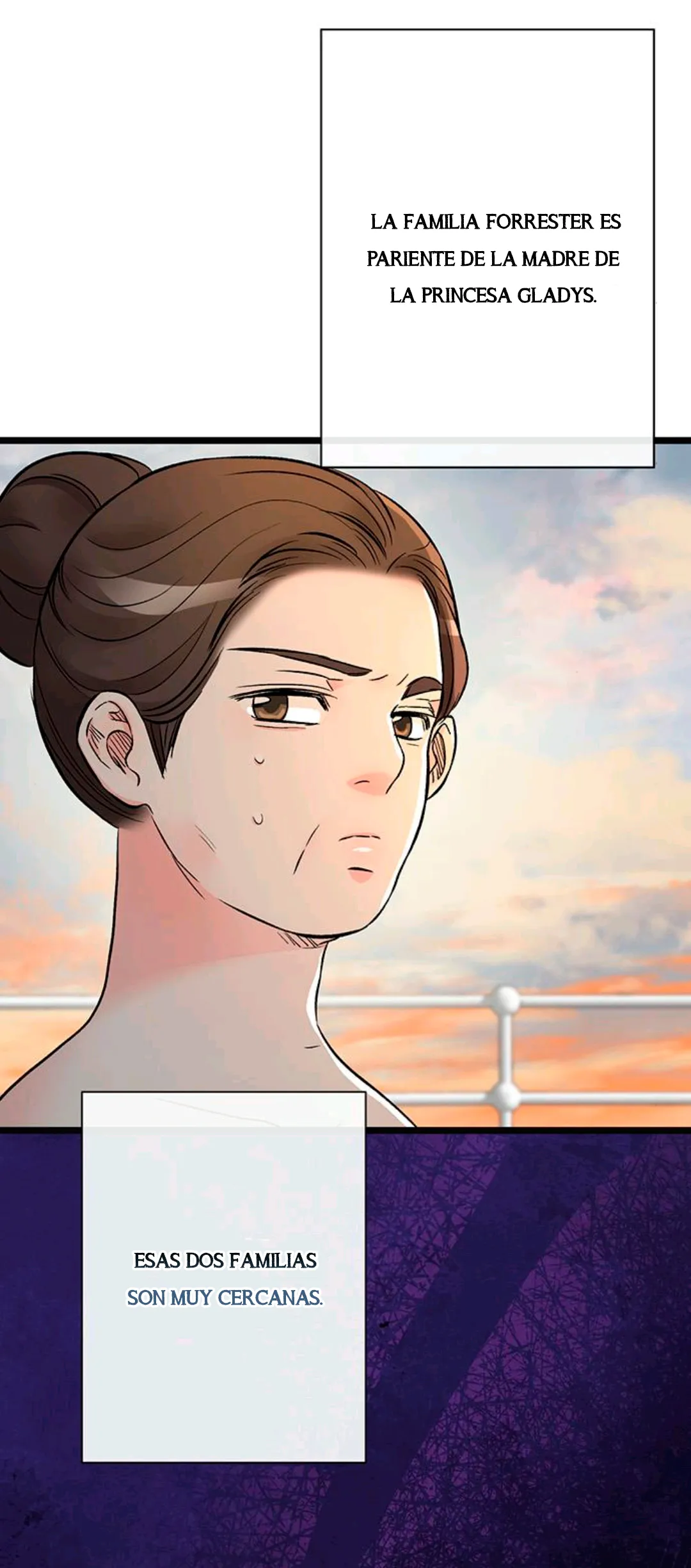 27 Príncipe problemático