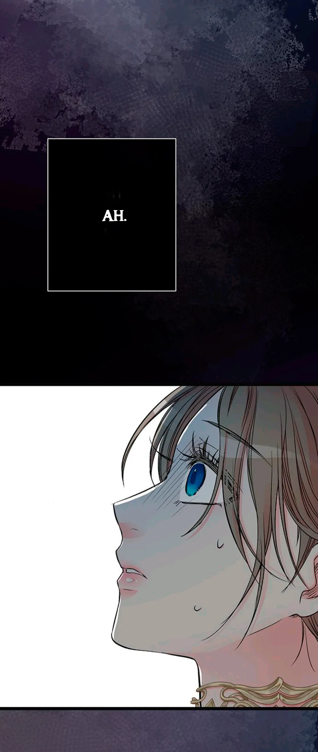 79 Príncipe problemático