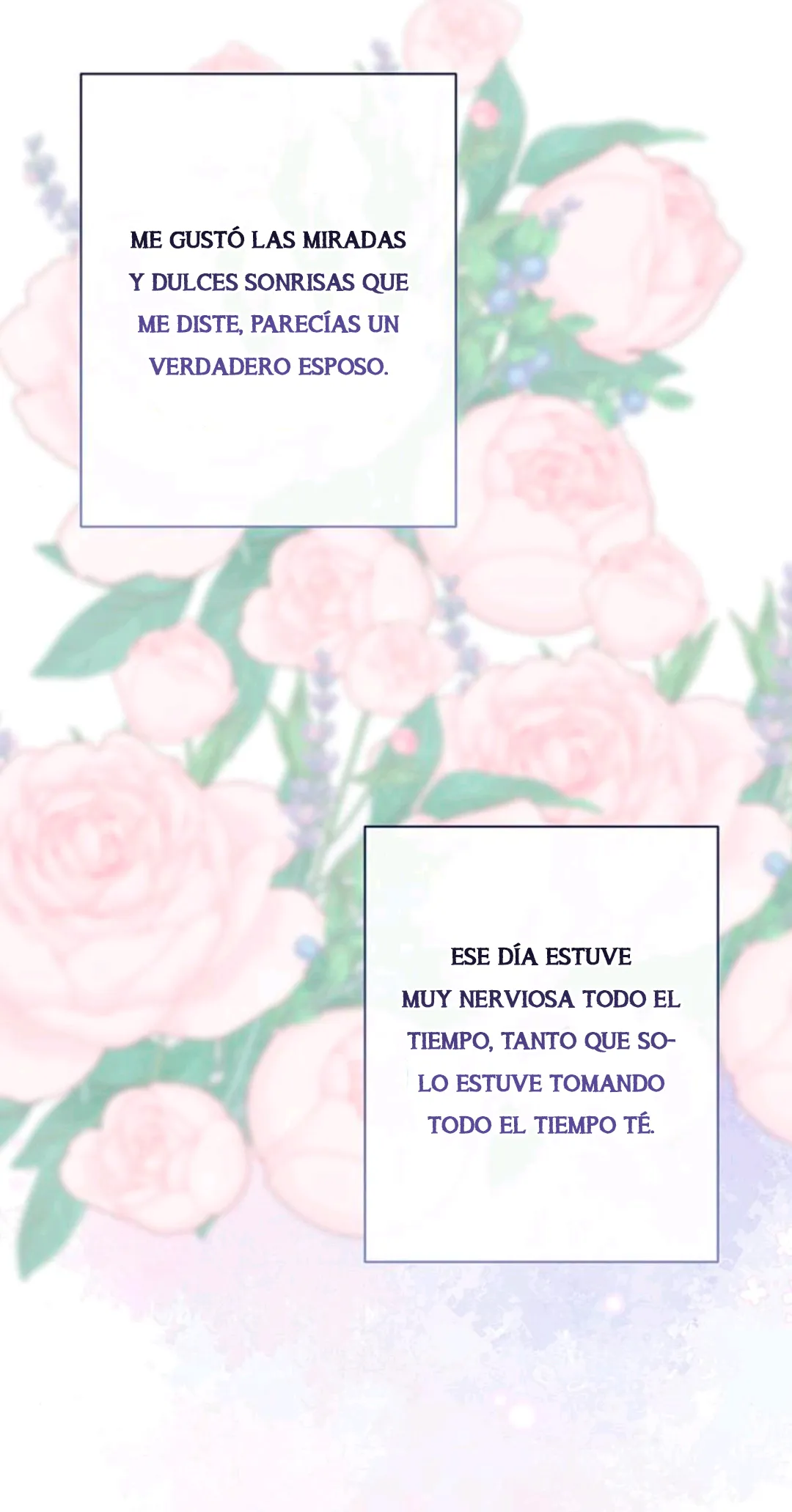 85 Príncipe problemático