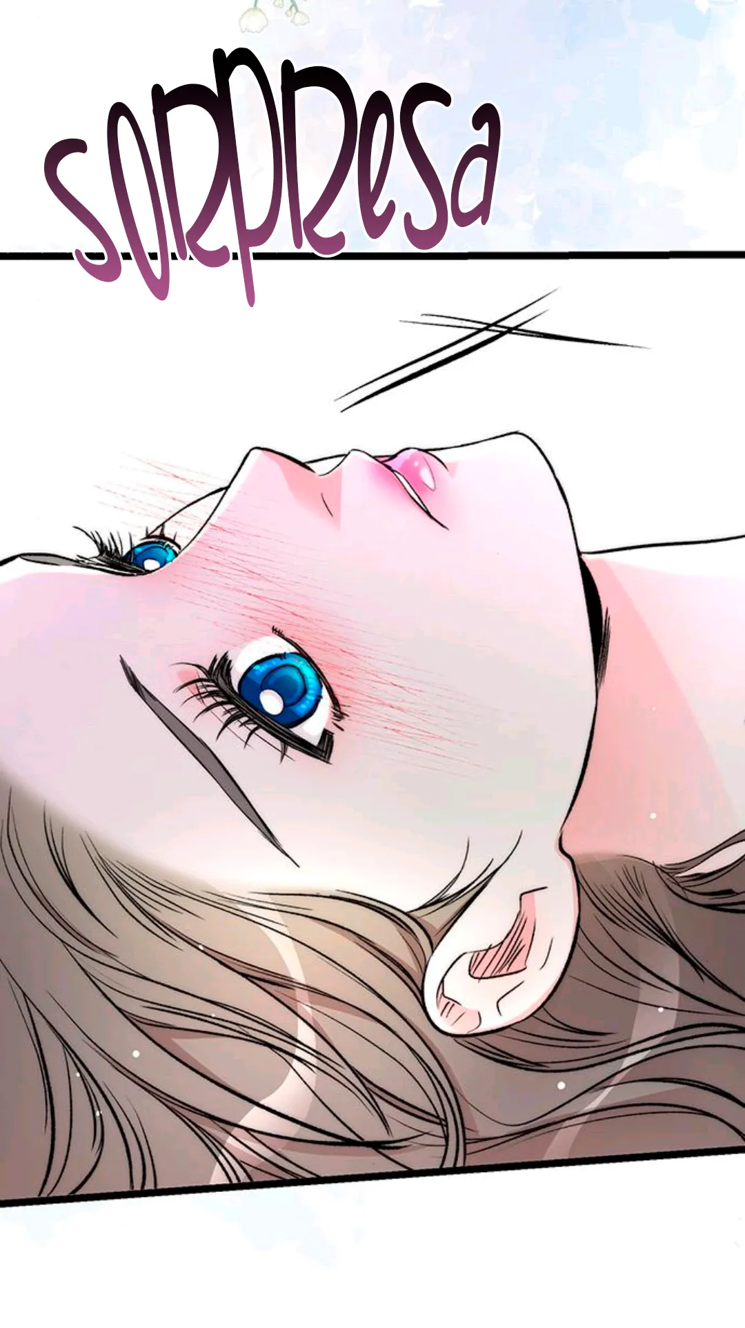 4 Príncipe problemático