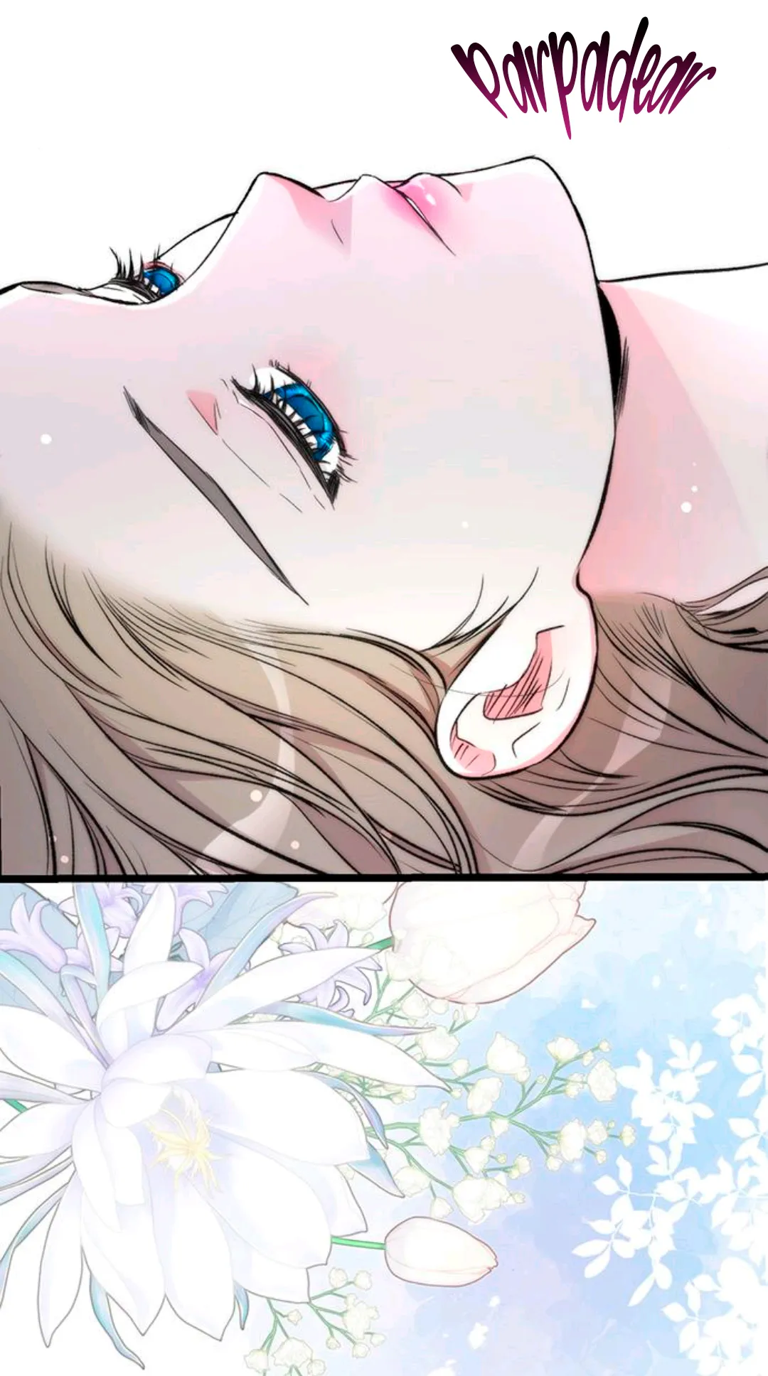 3 Príncipe problemático