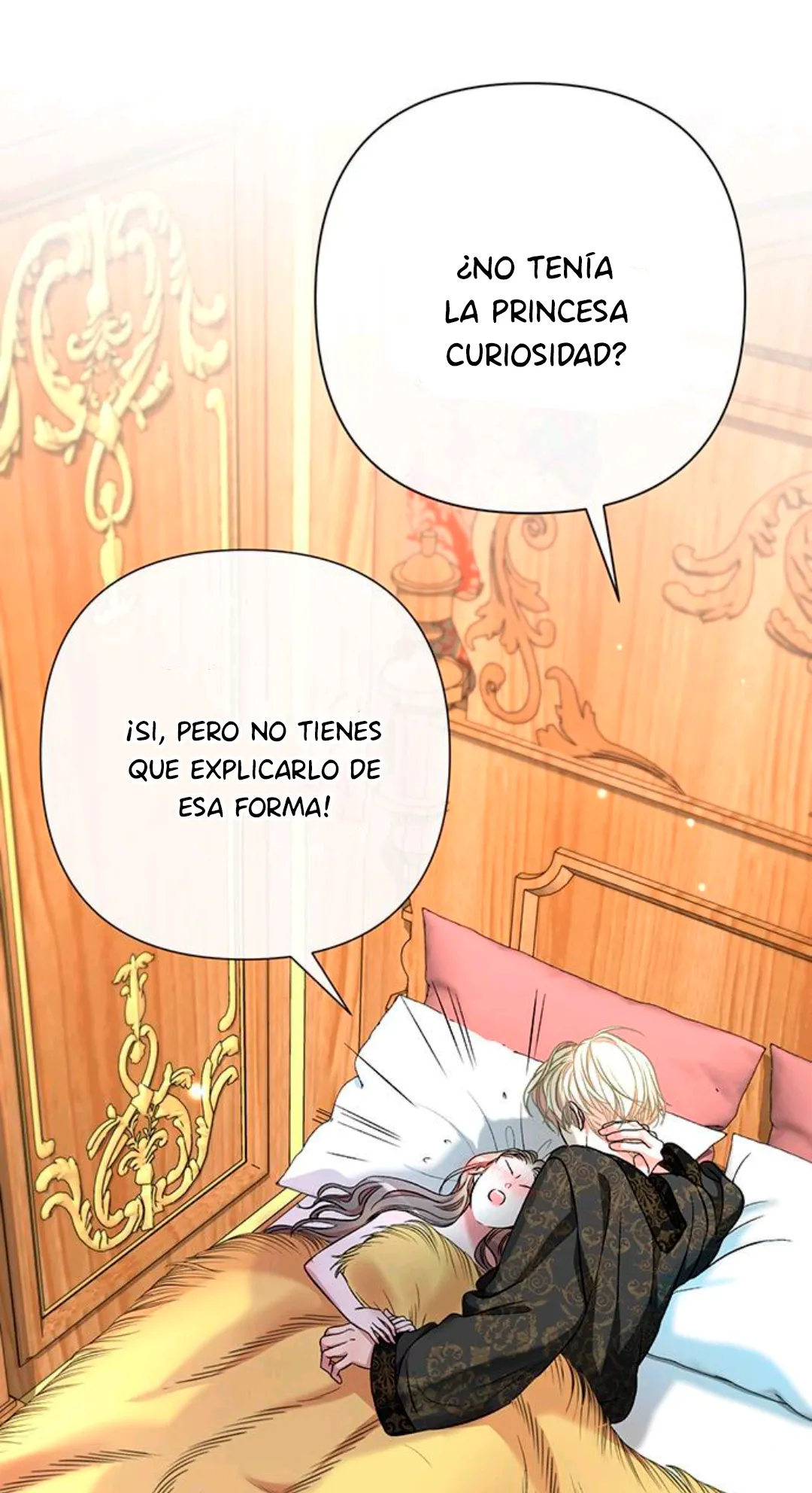 26 Príncipe problemático