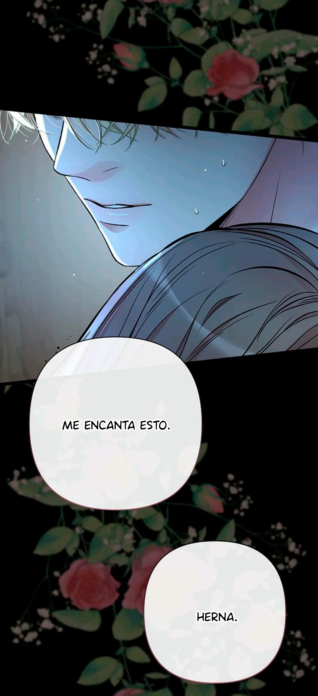 12 Príncipe problemático