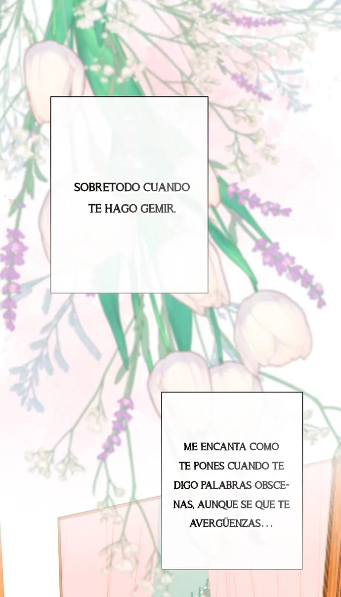 91 Príncipe problemático