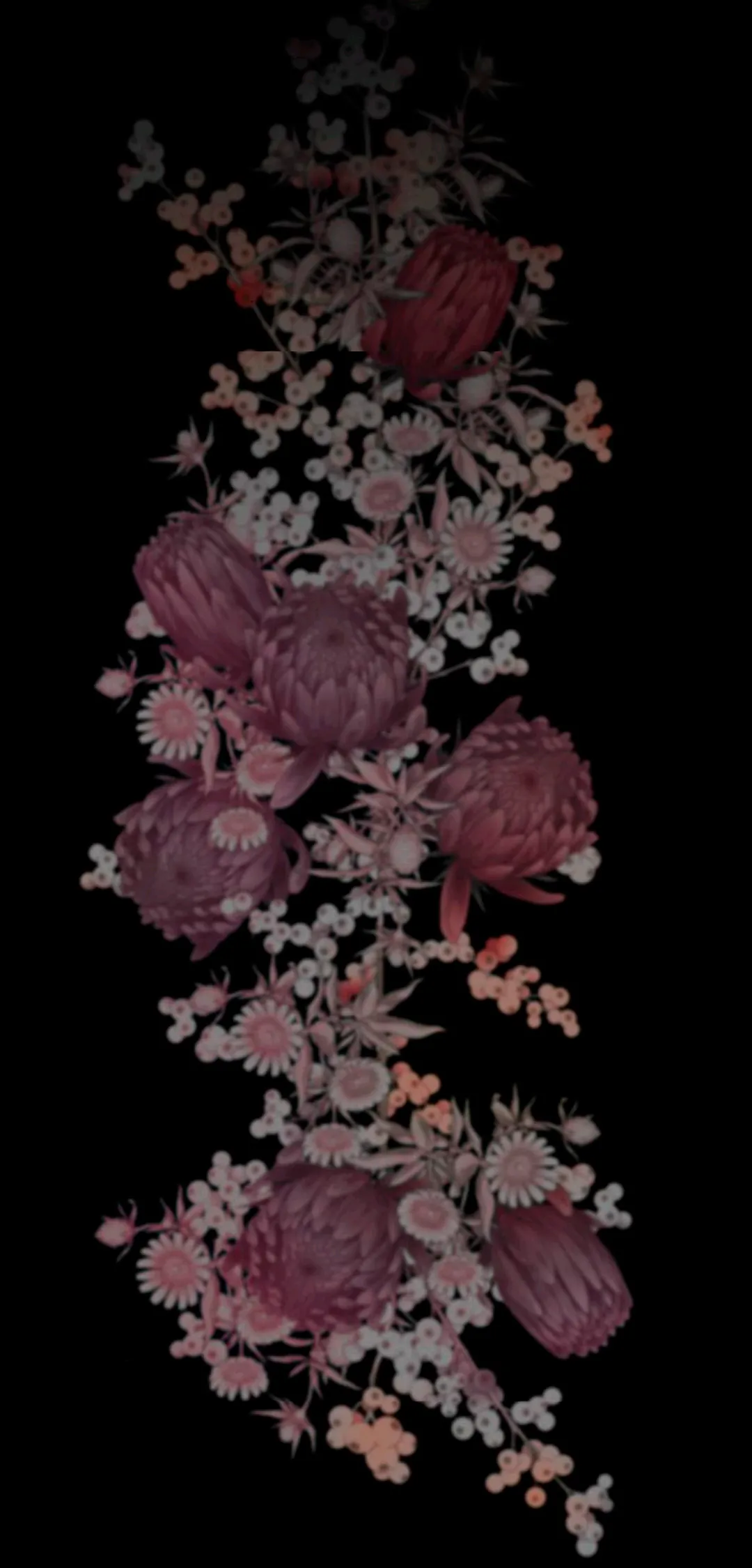 68 Príncipe problemático